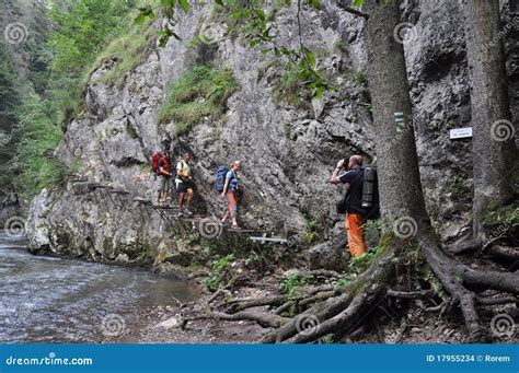 Slovensky raj editorial stock image. Image of slovensky - 17955234