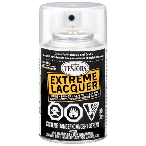 Testors One Coat Lacquer Paint 3 Oz Spray Can Wet Look Clear Michaels