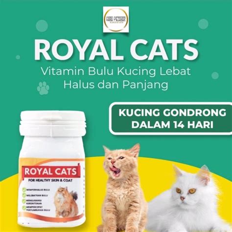 Jual Paket Gembul Bulu Lebat Immun Booster Vitamin Kucing Royal Cats