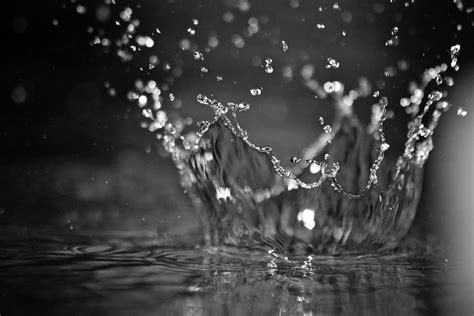 Rain drop splash Photograph by Ramarao Mandapati | Fine Art America