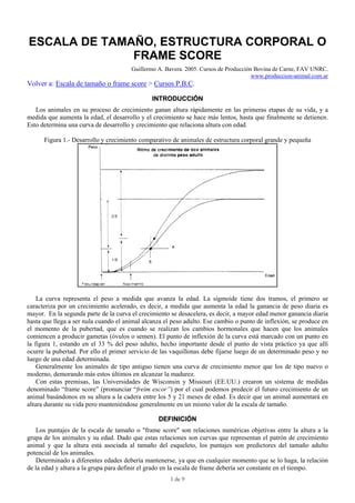 Tamano O Frame Pdf Descarga Gratuita