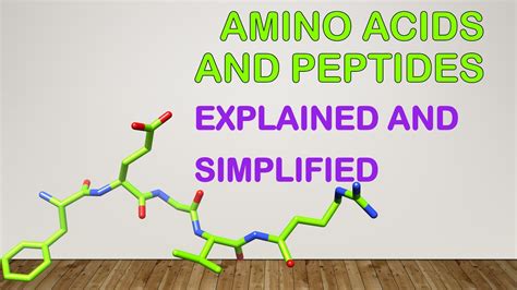 Chapter 3 Amino Acids Peptides And Proteins Part1 YouTube