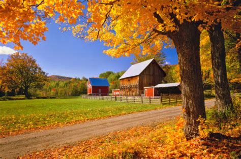 Beautiful Autumn Barn Photos - Fall Foliage Pictures