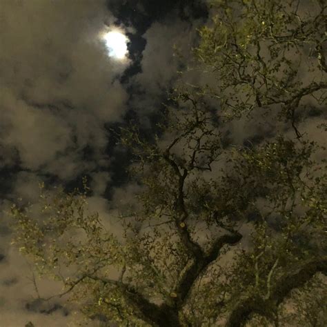 Cemetery And Ghost Byob Bus Tour In New Orleans 2021 Viator