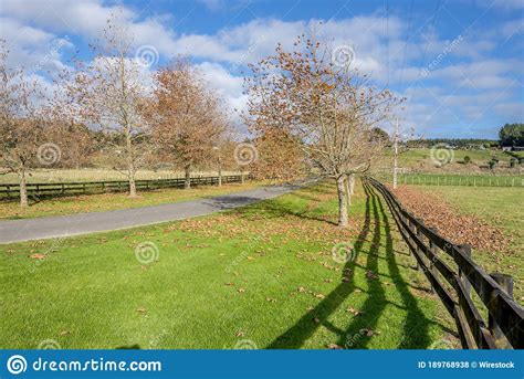 Pathway Surrounded By Fences And Greenery In A Park Under The Sunlight