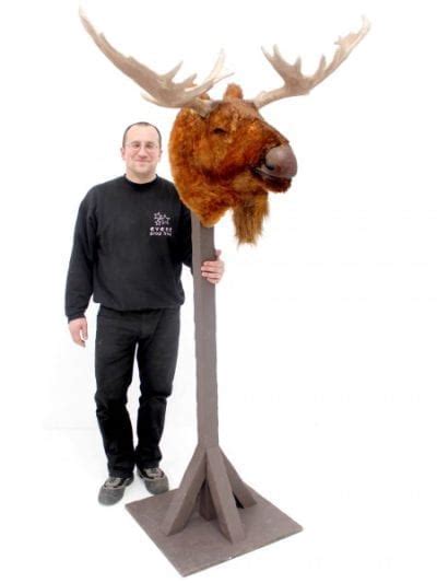 Moose Head Prop Eph Creative Event Prop Hire