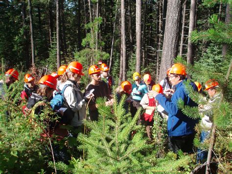 education alex fraser research forest