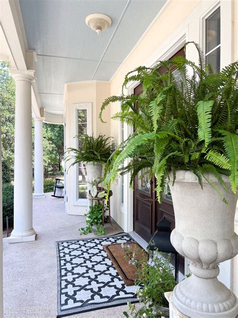 26 Shade Loving Plants Perfect for Southern Porch Containers