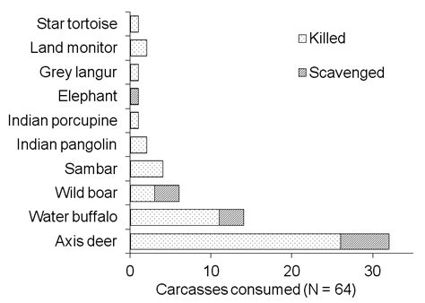 Identification By Species Of All Carcasses Consumed By Leopards During Download Scientific