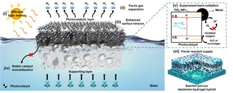 Figure 2 [image] Eurekalert Science News Releases