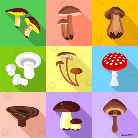 Different Mushroom Icons Set Flat Style Stock Vector 4342225