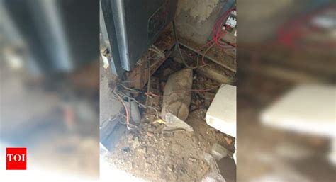 Naked Wires In Meter Room Times Of India