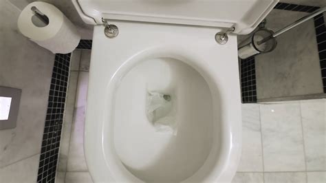 How To Repair A Slow Flushing Toilet | ThatSweetGift