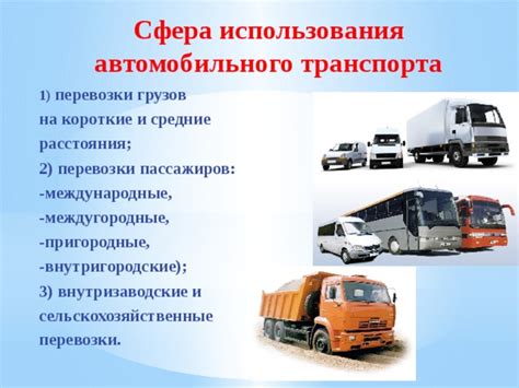 Типы и функции предприятий автомобильного транспорта: Виды ...