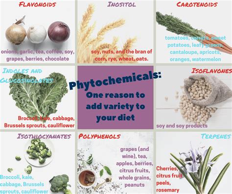 Phytochemicals Complex Compounds In Plant Based Foods Phytochemicals