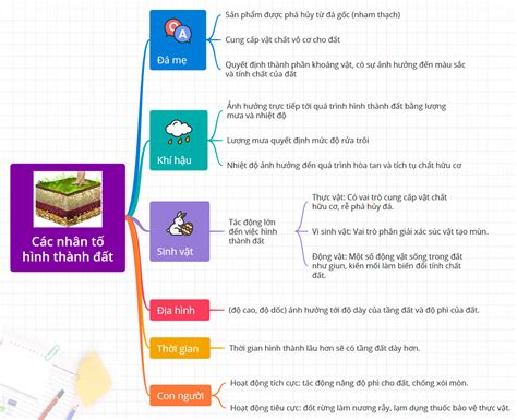 Sơ đồ Tư Duy Các Nhân Tố Hình Thành đất