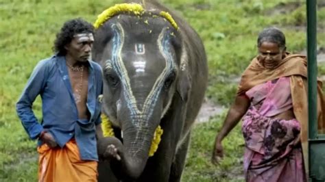 95th Oscar Nominations: 'The Elephant Whisperer' Makes It To Short Film List