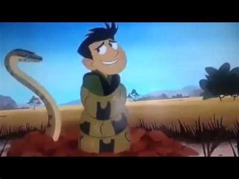 Wild Kratts Pbs Kids Go