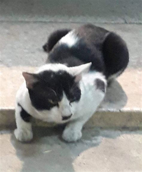 kitler : r/Kitler