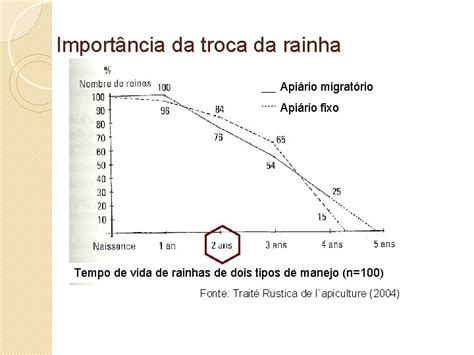 Desaparecimento Das Abelhas Mitos E Impacto Ambiental Eng