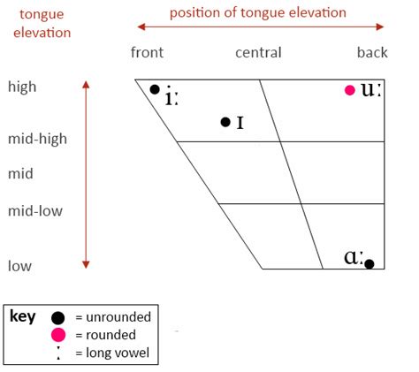 Charting Vowels - SLT info