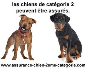 Assurance Chien Categorie 2 Attestation Civile En Ligne