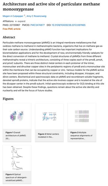 Answered: The structure of a metalloenzyme active… | bartleby