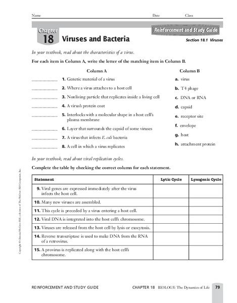 Chapter 18 Viruses And Bacteria Worksheet Answer Key Ivuyteq