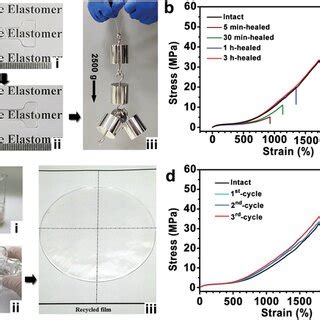 Healable Recyclable And Mechanically Tough Polyurethane Elastomers