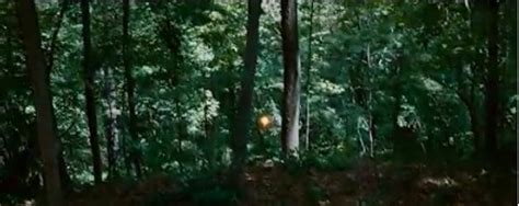 Forest Fire Scene - Katniss Everdeen Image (30348220) - Fanpop