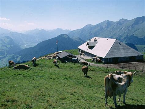 RODOMONT DEVANT L ETIVAZ