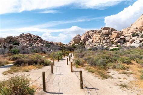 The 6 Best Hikes In Joshua Tree National Park Sunnyscope Blog