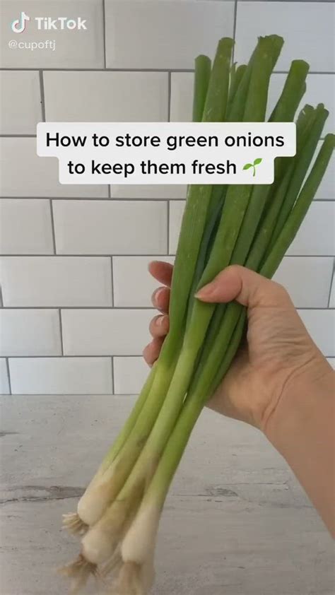 How To Store Scallions In The Fridge