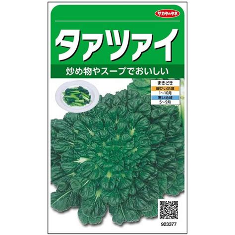 未開封＜野菜の種＞約900粒 タァツァイ 中国野菜 ターサイ タアサイの通販 By びびびs Shop｜ラクマ