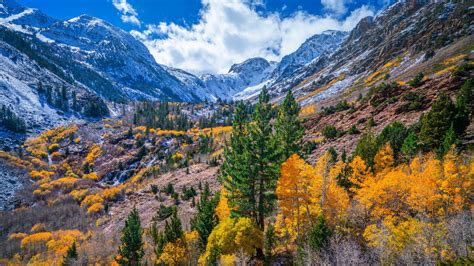 Fondos De Pantalla Naturaleza Paisaje Estados Unidos California