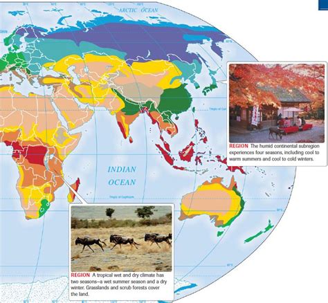 World Climate Regions