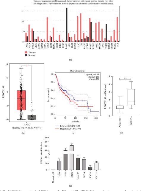 Figure 1 From Lncrna Linc01296 Promotes Oral Squamous Cell Carcinoma