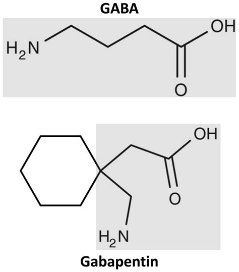 gabapentin  movement disorders  literature review