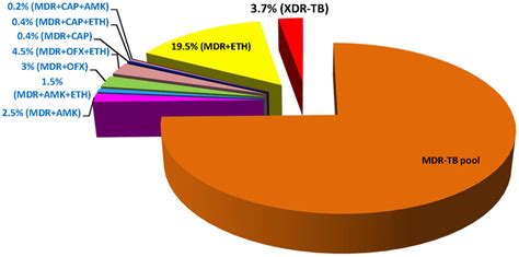 Diagram Shows The Distribution Of Multidrug Resistant Pre Extensively Download Scientific