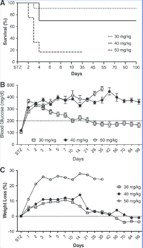 Streptozotocin Stz Induction Of Type Diabetes T D In Rats A