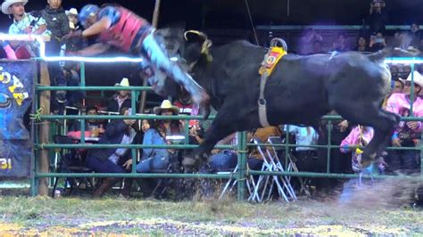 Llevo Puro Toro De Espectaculo Rancho La Revoluzion En Cocotitlan Edo