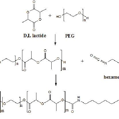 Pdf Synthesis And Characterization Of Poy D L Lactide Poly Ethylene