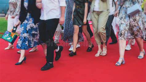 Red Carpet With Ropes And Golden Barriers On A Luxury Party Entrance