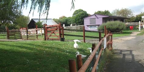 Gorse Hill City Farm Visit Leicester