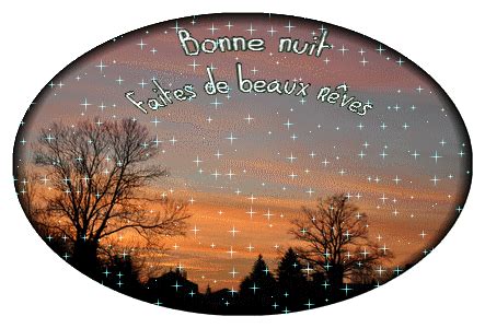 Bonne Nuit Faites De Beaux R Ves