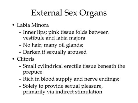 Ppt Chapter 3 Female Sexual Anatomy And Physiology Powerpoint Presentation Id1453075