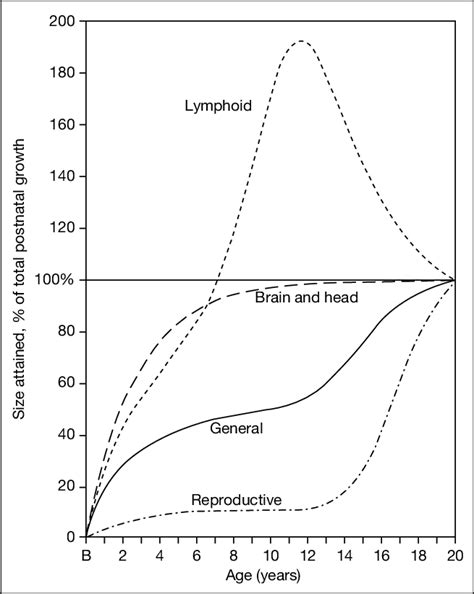 Growth Curves Of Different Parts And Tissues Of The Body Showing The