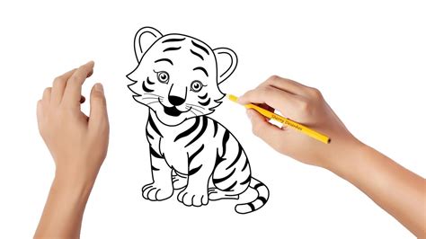 Tigre Facil De Desenhar - 5