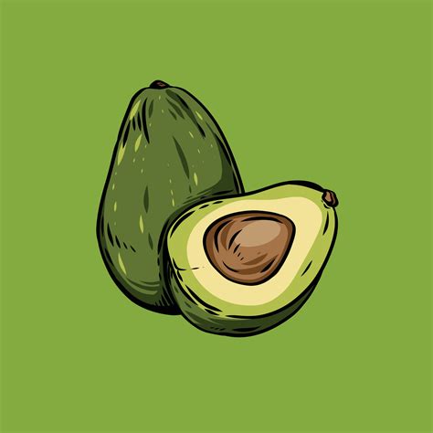 Avocado Vector Design 26293128 Vector Art at Vecteezy