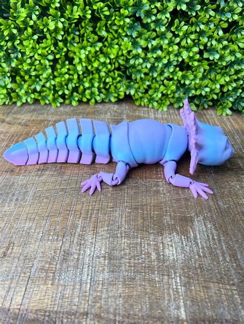 Axolotl With Smile 3D Printed Articulated Fidget Custom Etsy